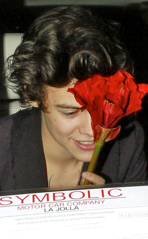 Harry Styles Harry Styles